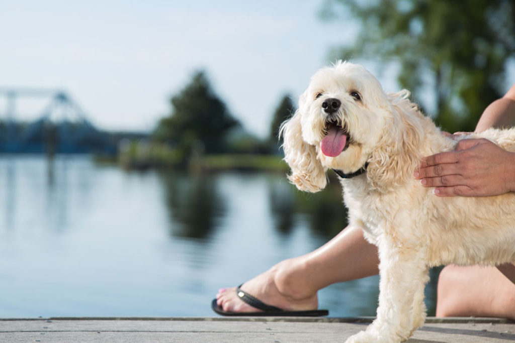 What is a Behavior Bit?