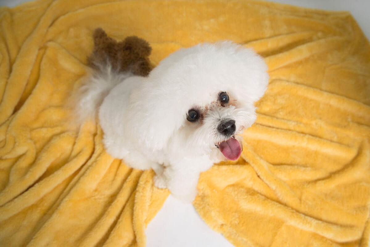 A little practice goes a long way: plan ahead to go back to work