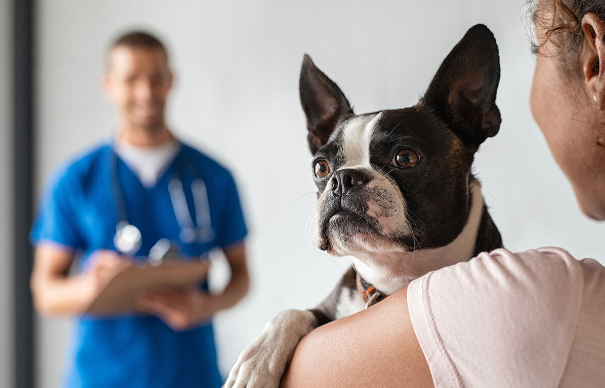 Veterinary Visit Expectations